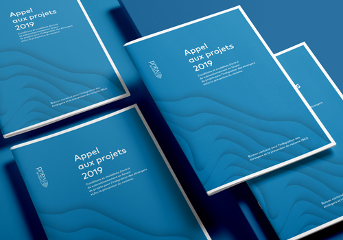 BCI // Brochures – Marketing & Promotional / Brochure, 2019 MUSE Creative Awards Winner