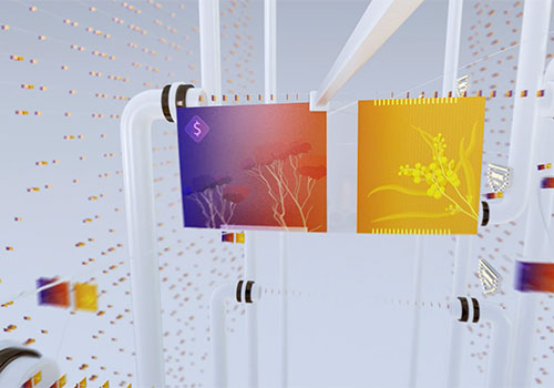 Banknote Lifecycle – Video / Banking, 2019 MUSE Creative Awards Winner