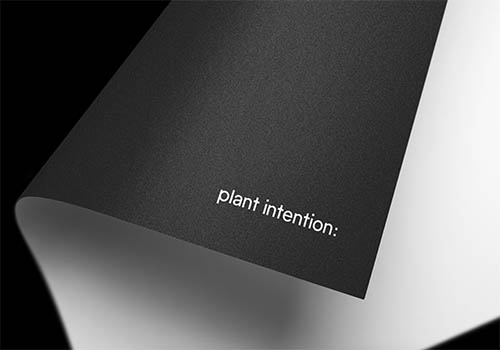 Plant Intention – Strategic Program / Brand Strategy Campaign, 2019 MUSE Creative Awards Winner