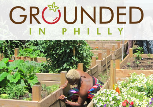 Grounded in Philly – Website / Community, 2019 MUSE Creative Awards Winner