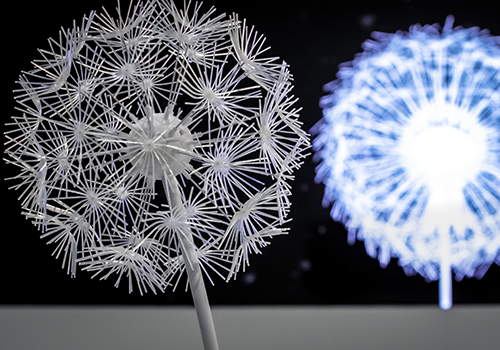 Delacon Dandelion – Strategic Program / Interactive Brand Experience, 2019 MUSE Creative Awards Winner