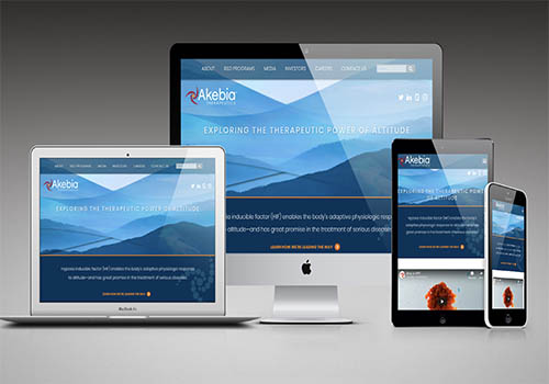 Akebia Therapeutics Website – Website / Pharmaceuticals, 2019 MUSE Creative Awards Winner