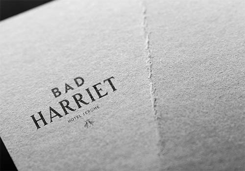 Bad Harriet – Strategic Program / Brand Strategy Campaign, 2019 MUSE Creative Awards Winner