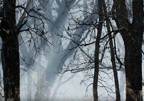 Portrait of a Landscape THE FLINT HILLS – Video / Entertainment, 2019 MUSE Creative Awards Winner