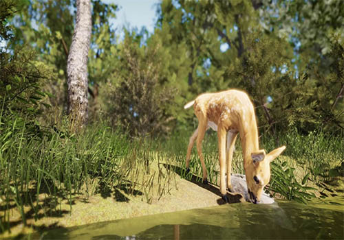MUSE Winner - West 5 Nature Walk-VR experience by NEEZO Studios