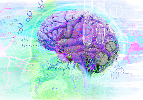 MUSE Winner - Quidel Triage TOX Drug Screen by Brook-Schwartz
