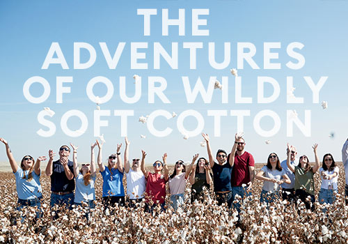The Adventures of Our Wildly Soft Cotton – Content Marketing / Branded Content, 2019 MUSE Creative Awards Winner