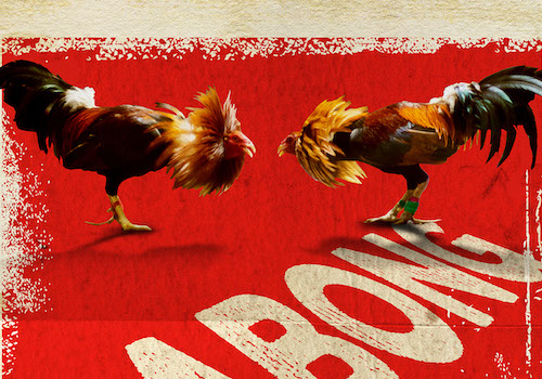 Sabong Poster – Marketing & Promotional / Poster Single, 2019 MUSE Creative Awards Winner